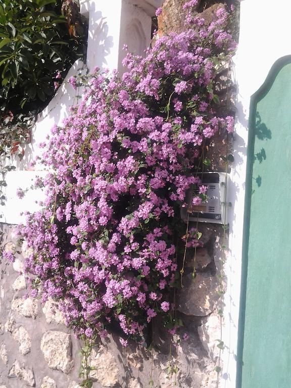 B&B Angelide Anacapri  Exterior foto